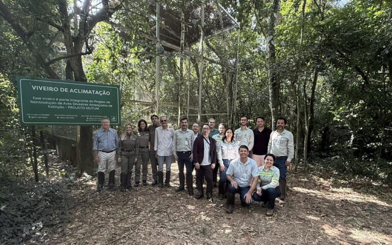 WhatsApp Image 2026-04-30 at 17.27.00 (1)